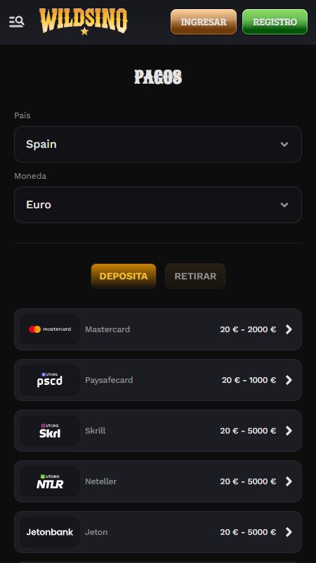 Payments methods section on Wildsino